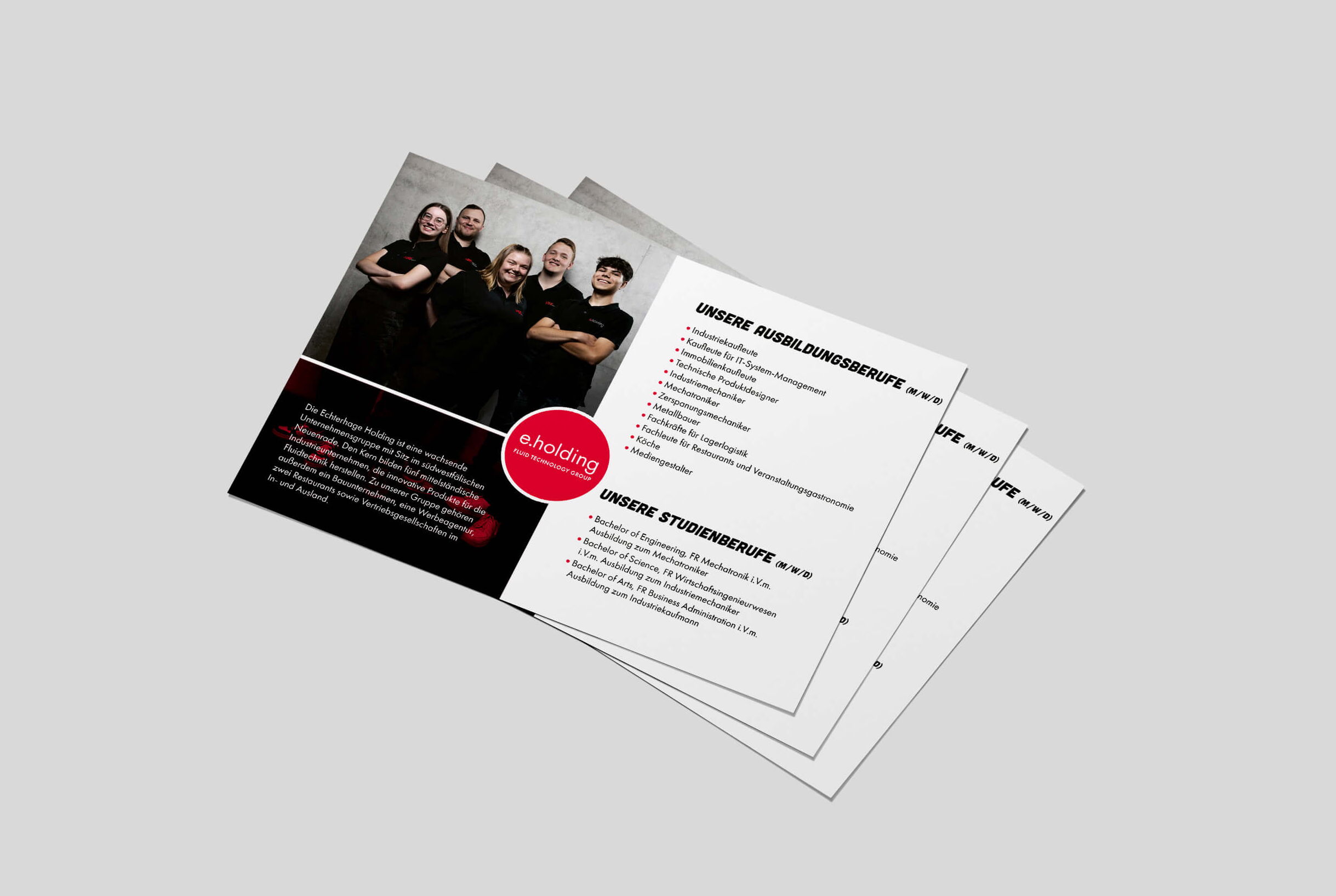 Ausbildungsangebot Flyer e.holding